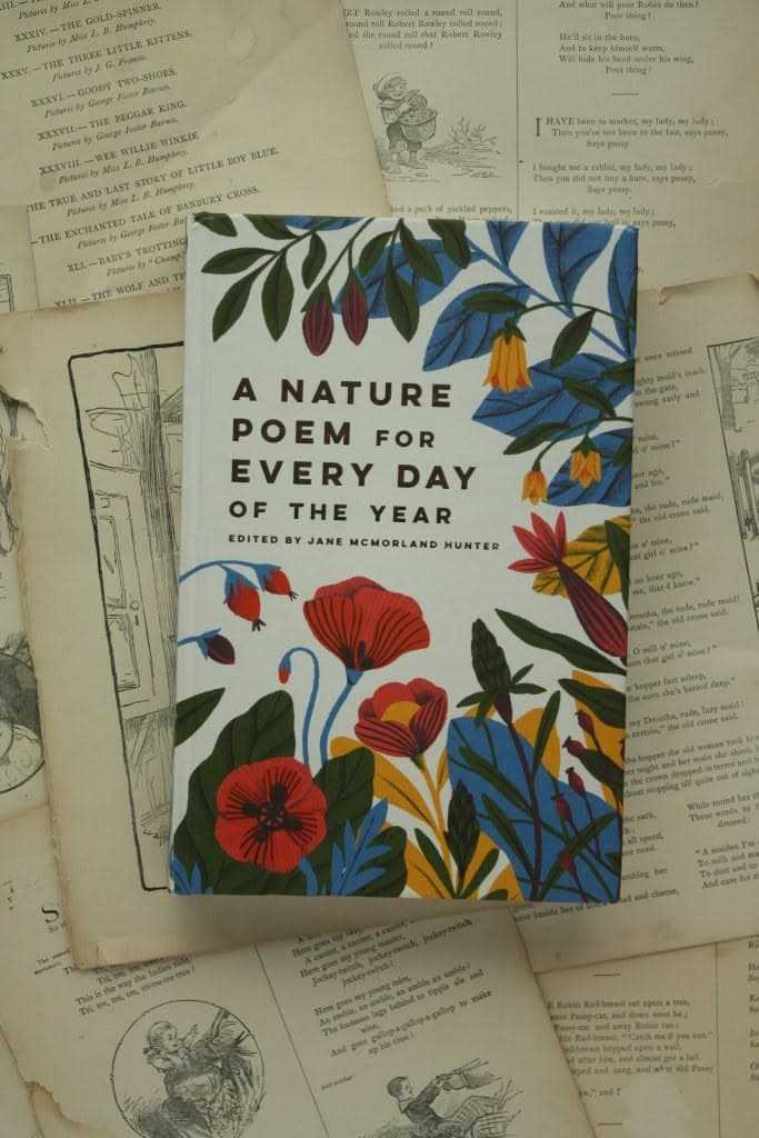 Poetry collection published by Blaze Publishers 6